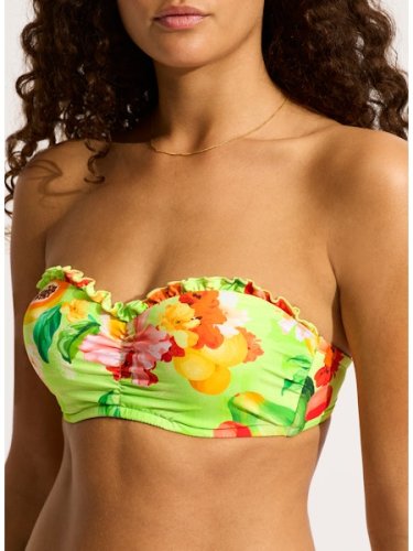 SEAFOLLY купальник раздельный бандо